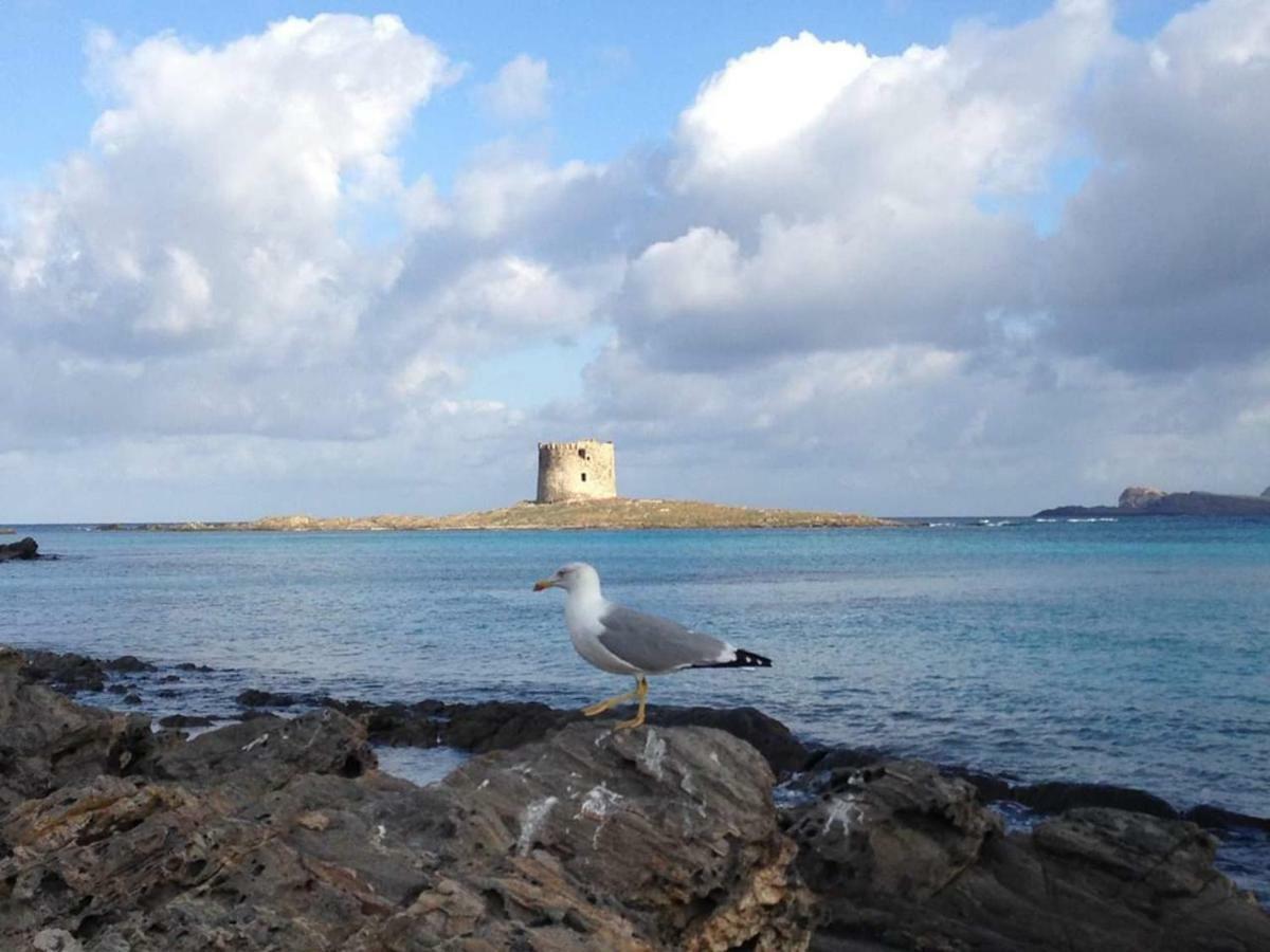 Vila Maria Antonietta House Porto Torres Exteriér fotografie
